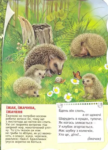 Малятко-розумнятко. Лісові тварини - фото 5