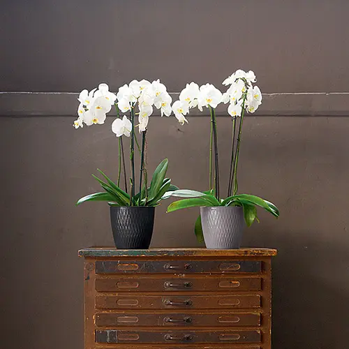 Вазон круглый LIBERTY, 30 см, 14,2 л (87324) - фото 2