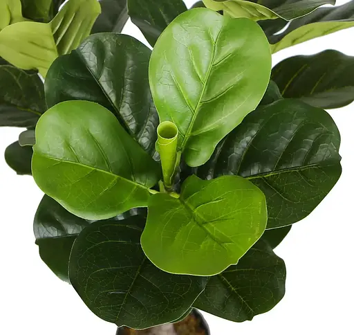 Искусственное растение Fiddle 110 см (DW-04) - фото 2