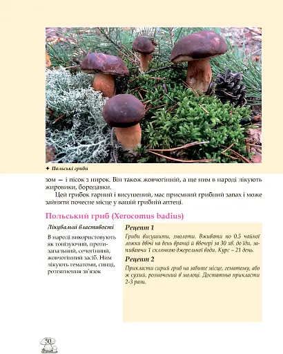 У пошуках грибного царства - фото 6