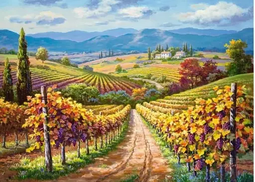 Пазл Castorland Виноградник 3000 ел. (C-300587) - фото 2