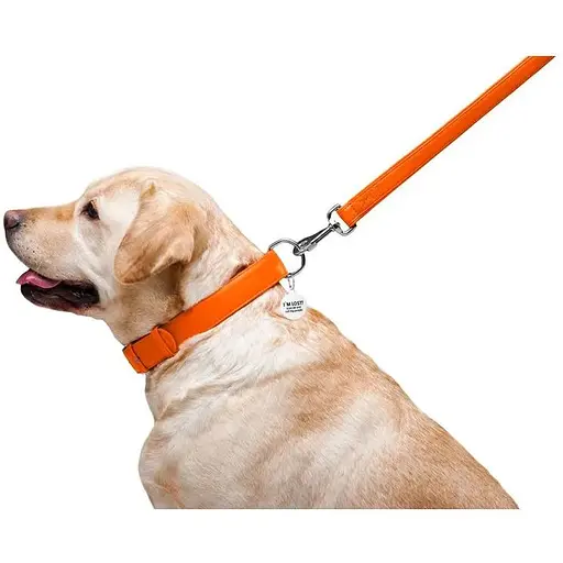 Повідець для собак Waudog Glamour шкіряний, помаранчевий - фото 6