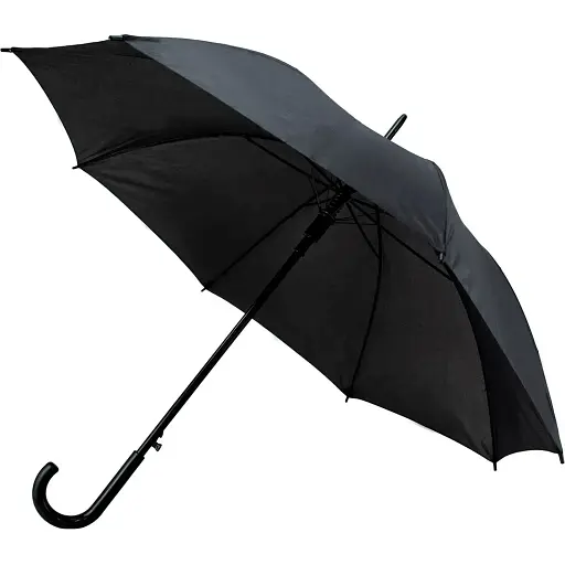 Зонтик Semi Line Black L2037-0 (DAS303547)