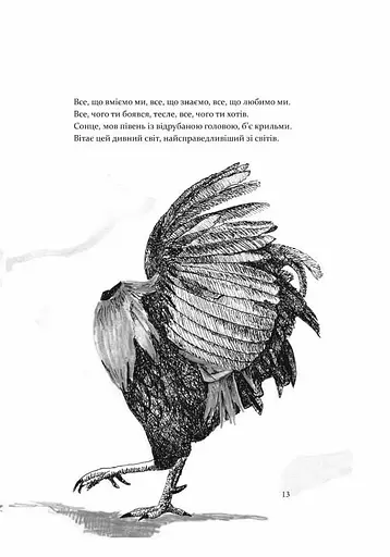 АНТЕНА чорно-біла версія - фото 4