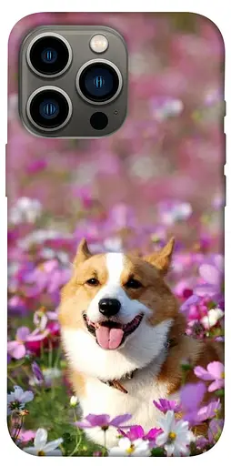 TPU чохол Корги у квітах - фото 1