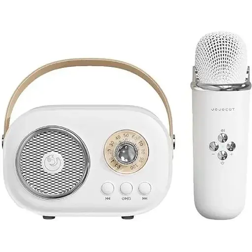 Портативная колонка C20W - фото 1