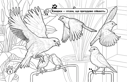 Розмальовка з тваринами. Тварини в оселі - фото 2