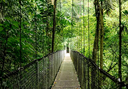 Ноутбук HP Probook 4-G1a 16" WUXGA IPS AMD R5-230 16GB F1024GB UMA Win11P сріблястий - фото 7