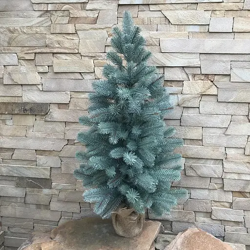 Елка Hvoya Premium литая в мешковине 90 см голубая - фото 4