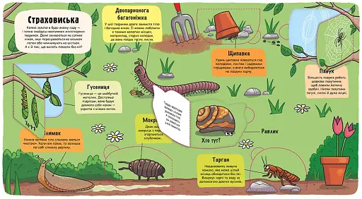Маленькі дослідники. Комашки - фото 6