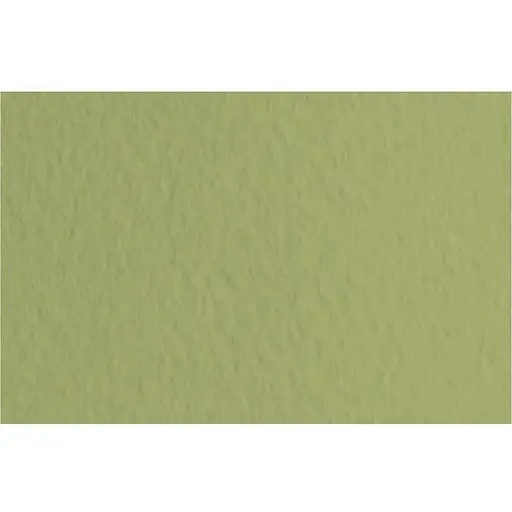 Бумага для пастели Fabriano Tiziano A3 (29.7х42см) №14 muschio 160г/м2 оливковое среднее зерно - фото 1