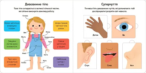 Книга Моє тіло. Весело грайся і пізнавай! (Км-Букс) - фото 3