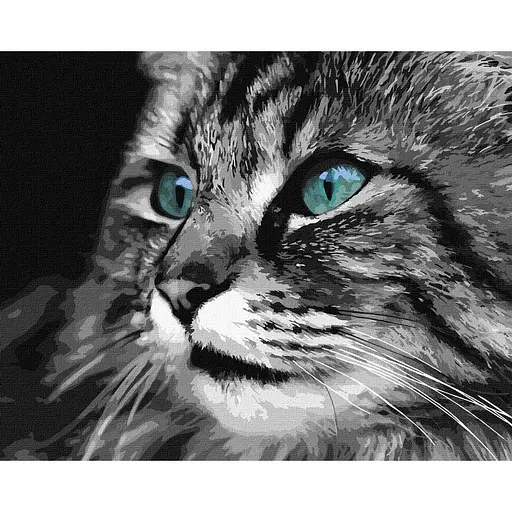 Картина по номерам "Смарагдові очі" KHO4386 40х50 см