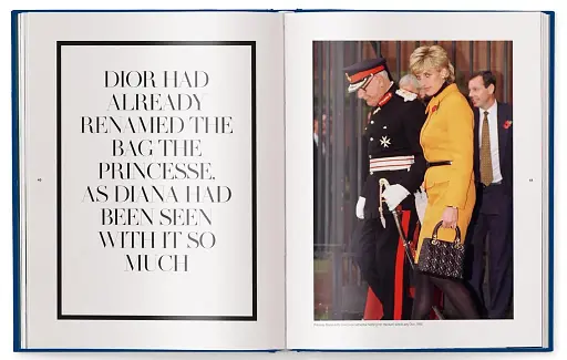 The Ultimate Guide to Dior Bags - фото 3