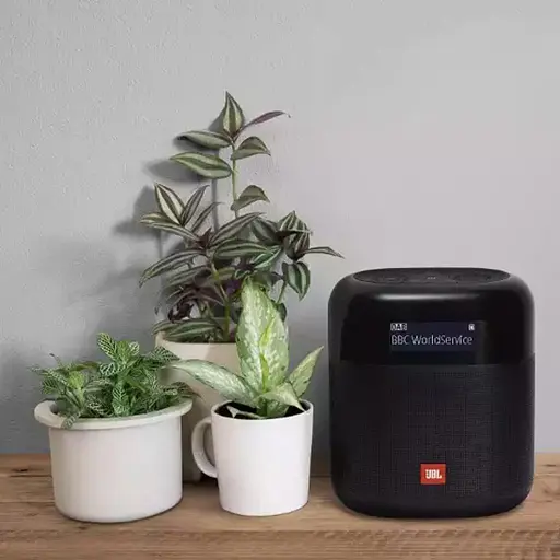 Акустическая система JBL Tuner XL Black (JBLTUNERXLBLKEU) - фото 7