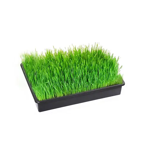 Лоток (поддон) для рассады 38х26х7 см, Господар Черный 82981 - фото 2