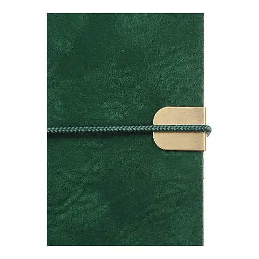 Еженедельник датированный Buromax Velour 2026 A5 зеленый (BM.2710-04) - фото 5