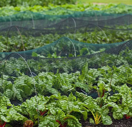 Сетка для защиты от птиц Bradas DIAMOND 20 г/м² 7.5x7.5 м тканая 15 x 15 мм (AS-BN2015150750075)  - фото 3