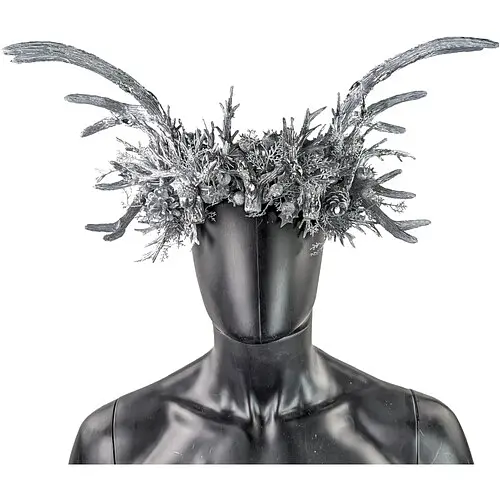 Корона Зимовий лісовий король - фото 1