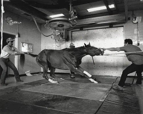 Frederick Wiseman - фото 4