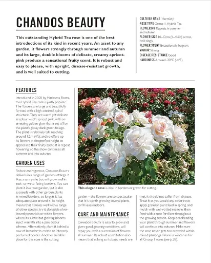 Grow Roses. Essential Know-how and Expert Advice for Gardening Success - фото 12