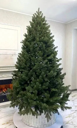 Лита ялинка Куршевельська з густою хвоєю (Зелена) 2.0 м - фото 2