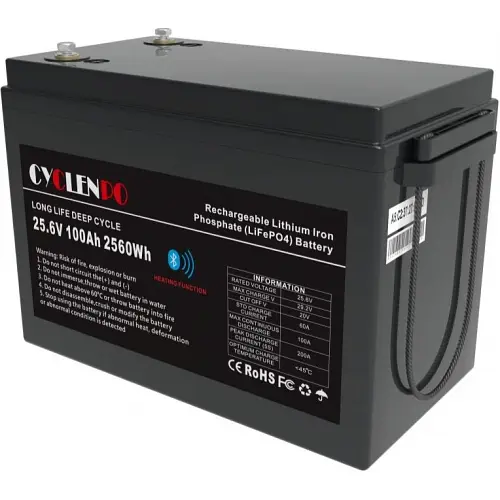 Аккумулятор Cyclen 25.6V 100AH LiFePo4 (подогрев/Bluetooth)