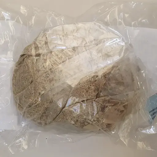 100 г аралія маньчжурська коріння сушене - свіжий урожай