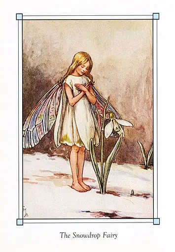 Flower Fairies of the Winter - фото 4