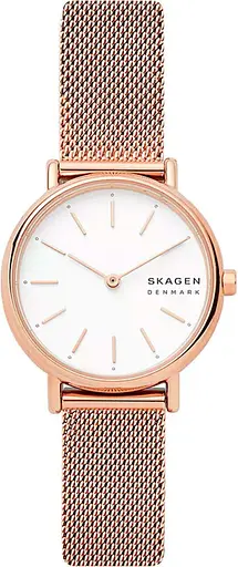 Часы Skagen Signatur Lille SKW2694