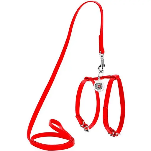 Шлея з повідцем для собак Waudog Glamour шкіряна з QR паспортом, червоний