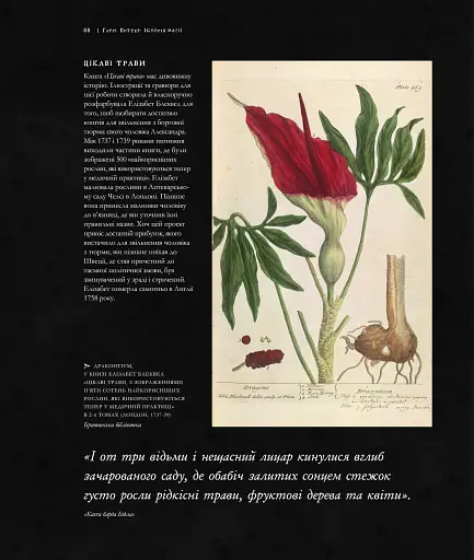 Гаррі Поттер. Історія магії - фото 7