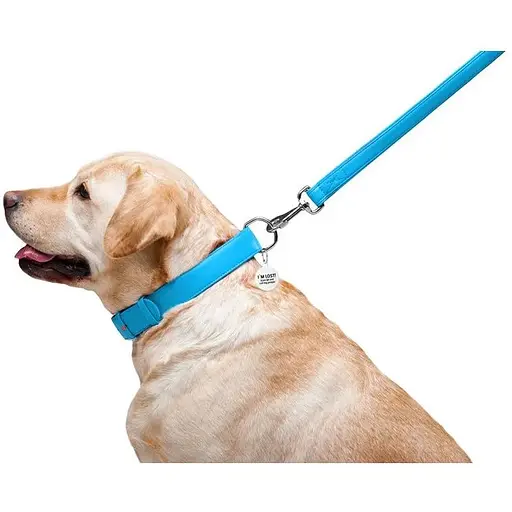 Повідець для собак Waudog Glamour шкіряний, блакитний - фото 6