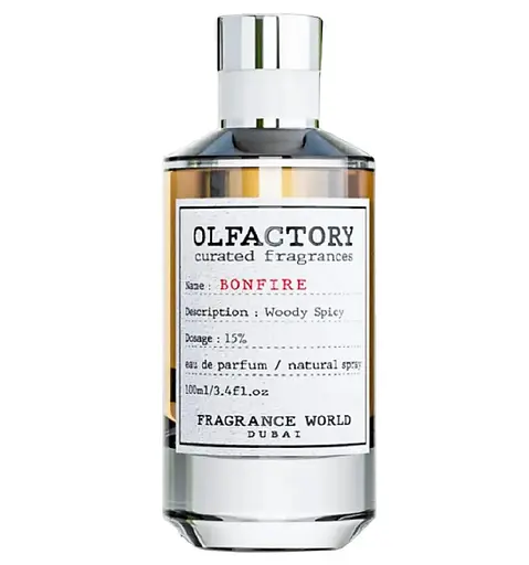 Парфюмированная вода Fragrance World Olfactory Bonfire 100 мл