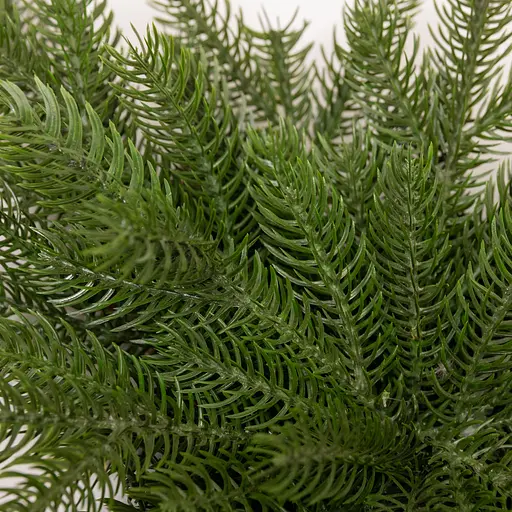 Новорічна хвойна гірлянда лита  Lugi TD-NSTGR1 зелена Північна зірка 60х35 см - фото 5