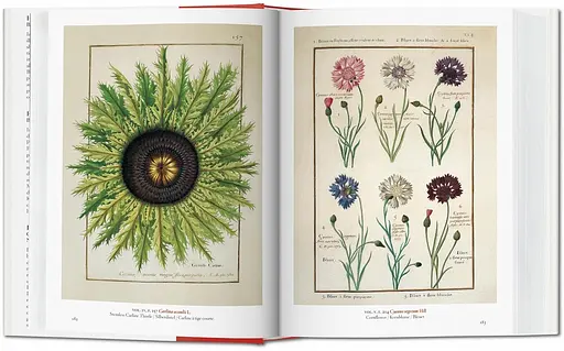 A Garden Eden. Masterpieces of Botanical Illustration. 40th Edition - фото 3