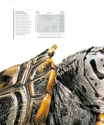 The Science of the Ocean. The Secrets of the Seas Revealed - фото 8