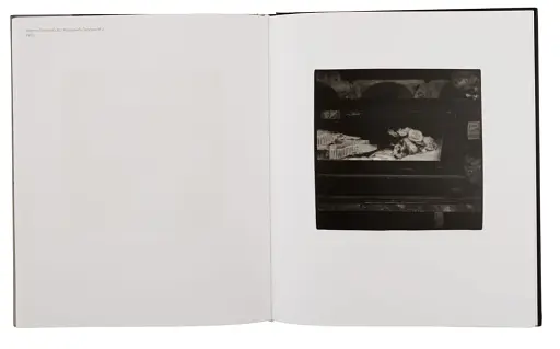 Пітер Гуджар: Ріальто - фото 4