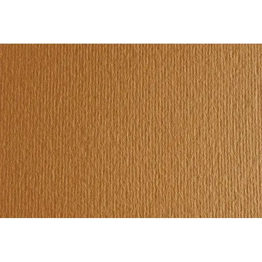 Папір для дизайну Fabriano Elle Erre А3 (29.7x42см) №03 avana 220г/м2 коричневий дві текстури