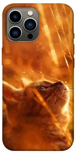 TPU чохол Magic cat - фото 1