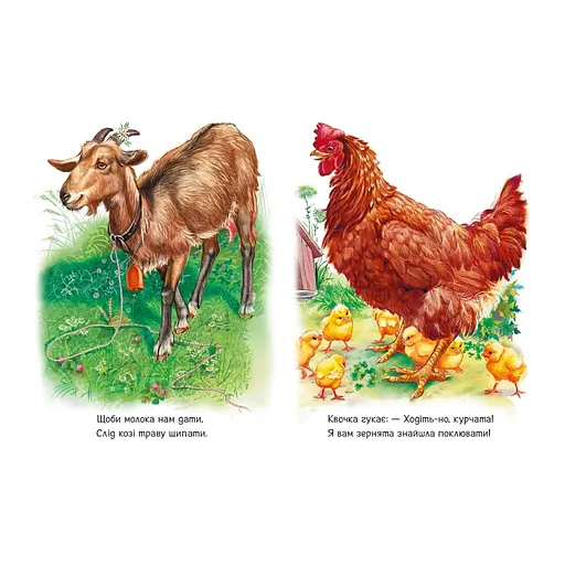 Малюкам про звірят "Поруч з нами" 212013 збірка з аудіосупроводом - фото 3