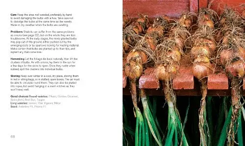 200 Veg-Growing Basics - фото 3