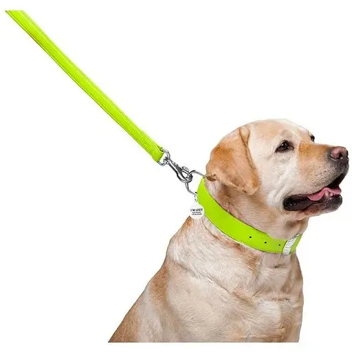 Повідець для собак Waudog Glamour шкіряний, салатовий - фото 4