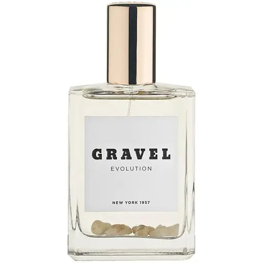 Парфюмированная вода оригинал Gravel Evolution 100 мл - фото 1