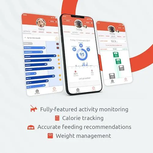 Монітор активності та фітнесу для собак PitPat (без GPS) - Не потрібна перезарядка або підписка - Підходить для всіх собак - фото 2