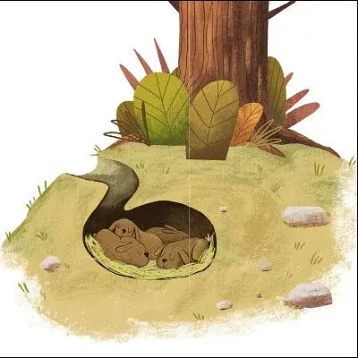 Борсук Майло шукає нову домівку. Друзі з лісу - фото 5