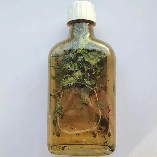 Настоянка на траві яглиця снить 200 мл - фото 2