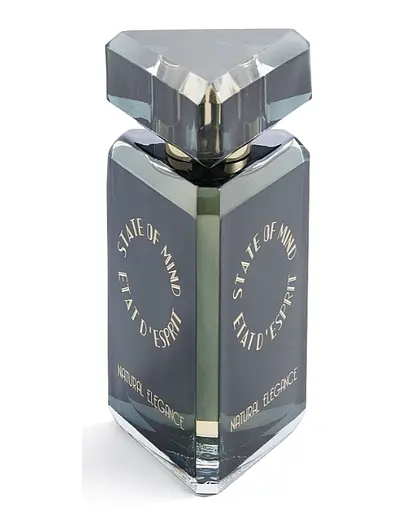 Парфюмированная вода оригинал State Of Mind Natural Elegance 100 мл - фото 2