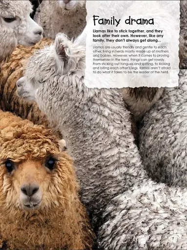 Animal Antics - фото 3