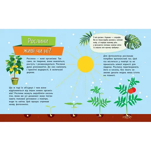 Обучающая книжка Почемучки "Растения" 875010 вопросы и ответы - фото 3